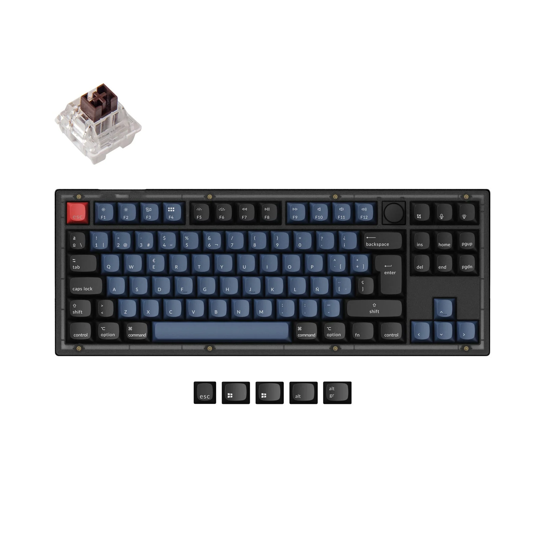 Thumbnail 12